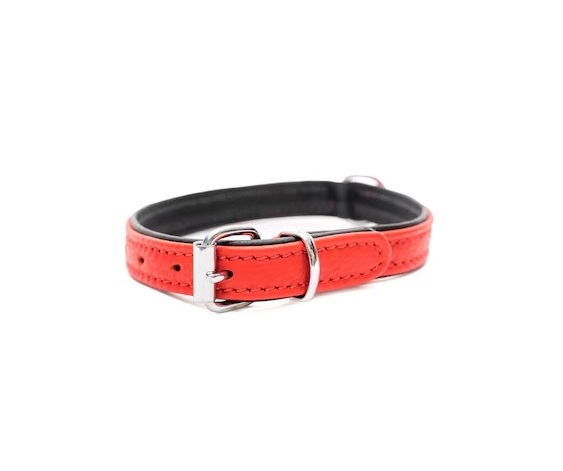 I have 500+ brand new dog collars and don't know what to do with them